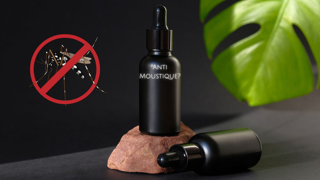 Bouteille d'huile noire avec pipette, étiquetée "Anti-Moustique ?", posée sur une pierre, avec une icône de moustique barré en rouge en arrière-plan, sur fond sombre et une feuille verte à droite.