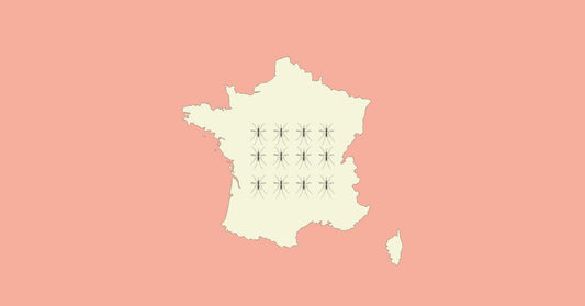 Introduction des Moustiques Tigres en France