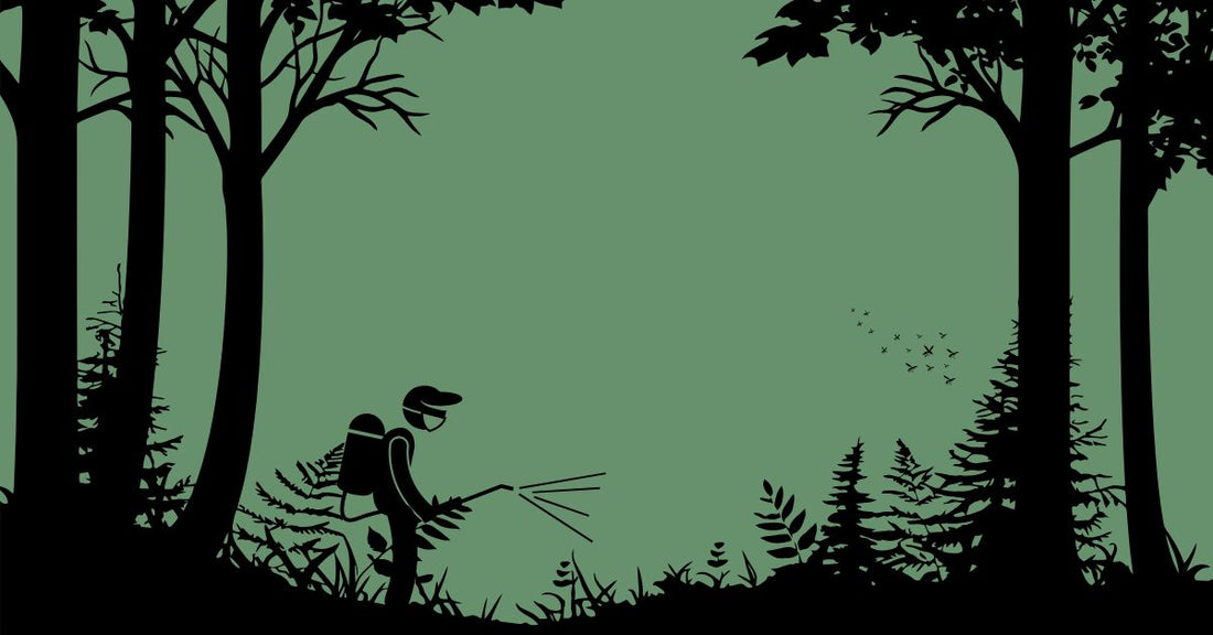 Comment la France Combat le Moustique Tigre ?