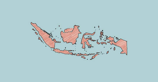 Indonésie : ce qu'on ne vous dit pas sur les moustiques