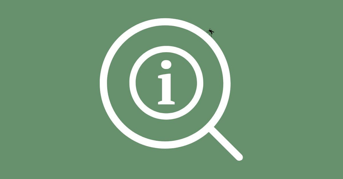 Maladies à Moustiques : Où S'informer Avant de Voyager ?