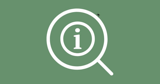 Maladies à Moustiques : Où S'informer Avant de Voyager ?